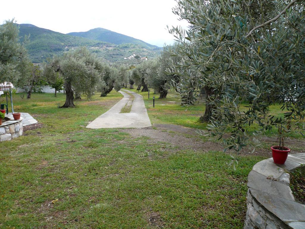Liossis Rooms & Apartments Skopelos Exterior foto