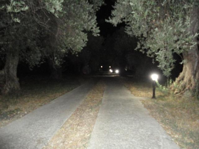 Liossis Rooms & Apartments Skopelos Exterior foto