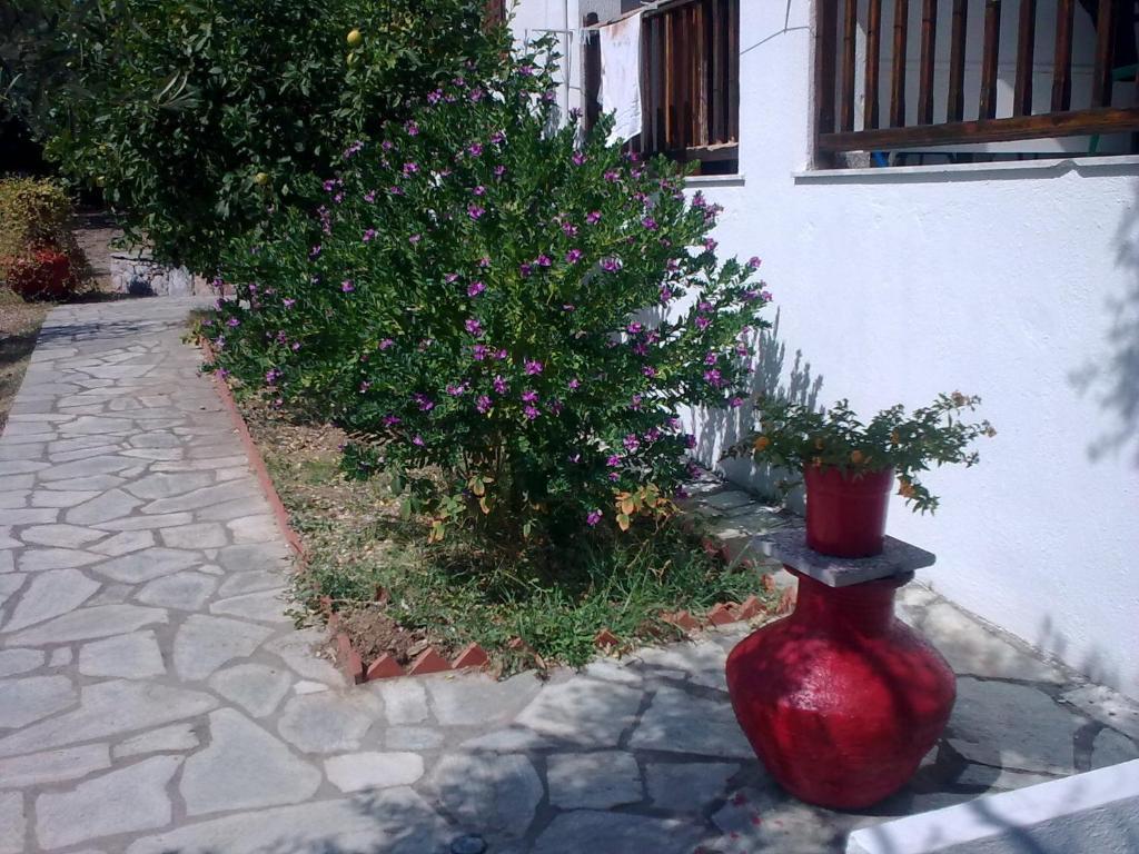 Liossis Rooms & Apartments Skopelos Exterior foto